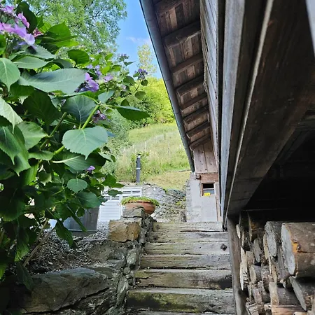 Traditional With Some Luxurious Features Alpesi faház