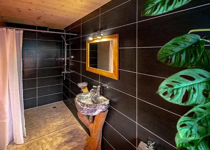 Traditional With Some Luxurious Features