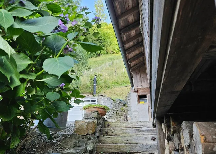 Traditional With Some Luxurious Features 木屋