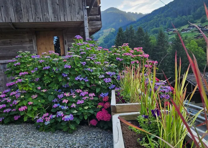 Traditional With Some Luxurious Features